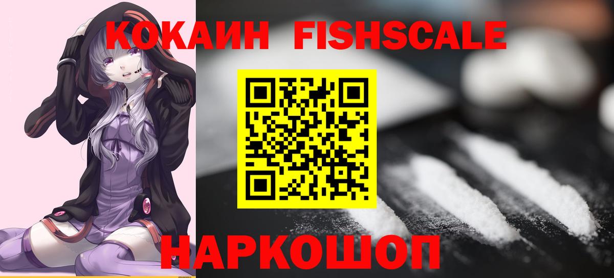Губкин  Cocaine  Вход с VPN  КОКАИН FishScale 