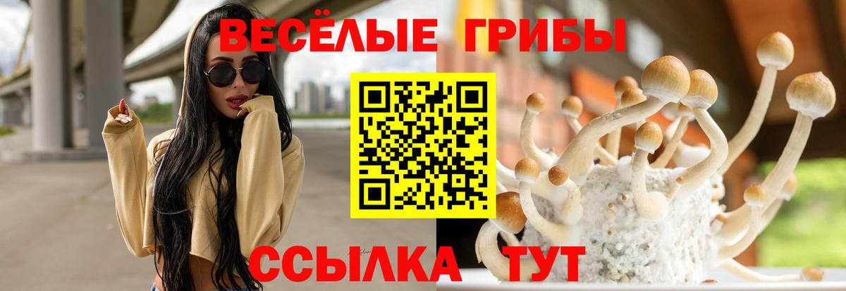 Губкин  Галлюциногенные грибы ЛСД  Вход с VPN  Галлюциногенные грибы Psilocybine cubensis 